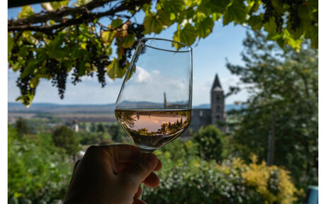 IFOTES Congress 2026