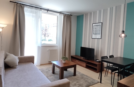 Corvin Center Suites